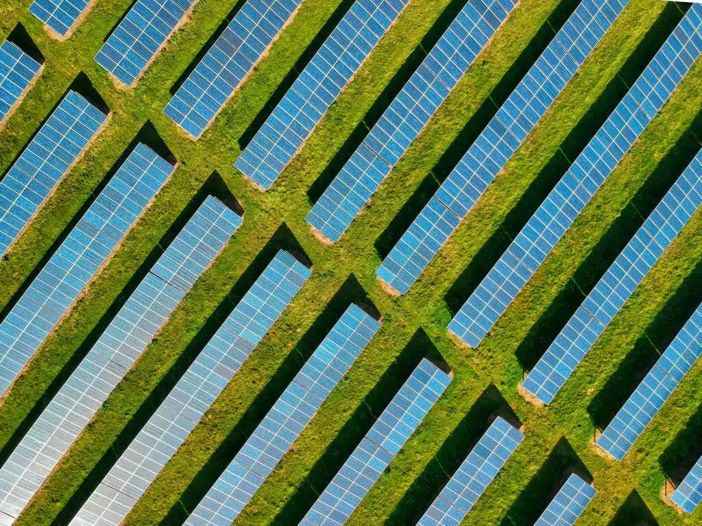 SERVICIOS MITIGACIÓN Y ADAPTACIÓN CAMBIO CLIMATICO